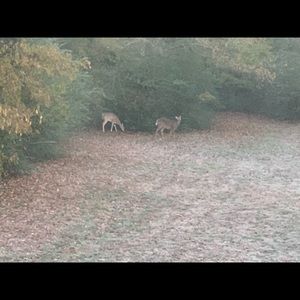 Meet your Posher, Latoya